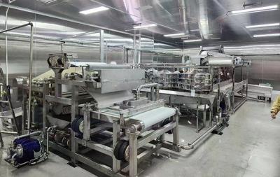 橙子榨汁生产线