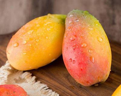 芒果加工生产线